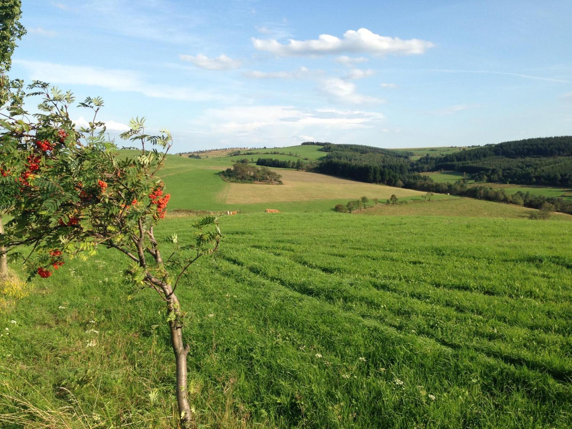 Ferienhaus Bikehuette Rehnhaeusl Geising Exteriör bild