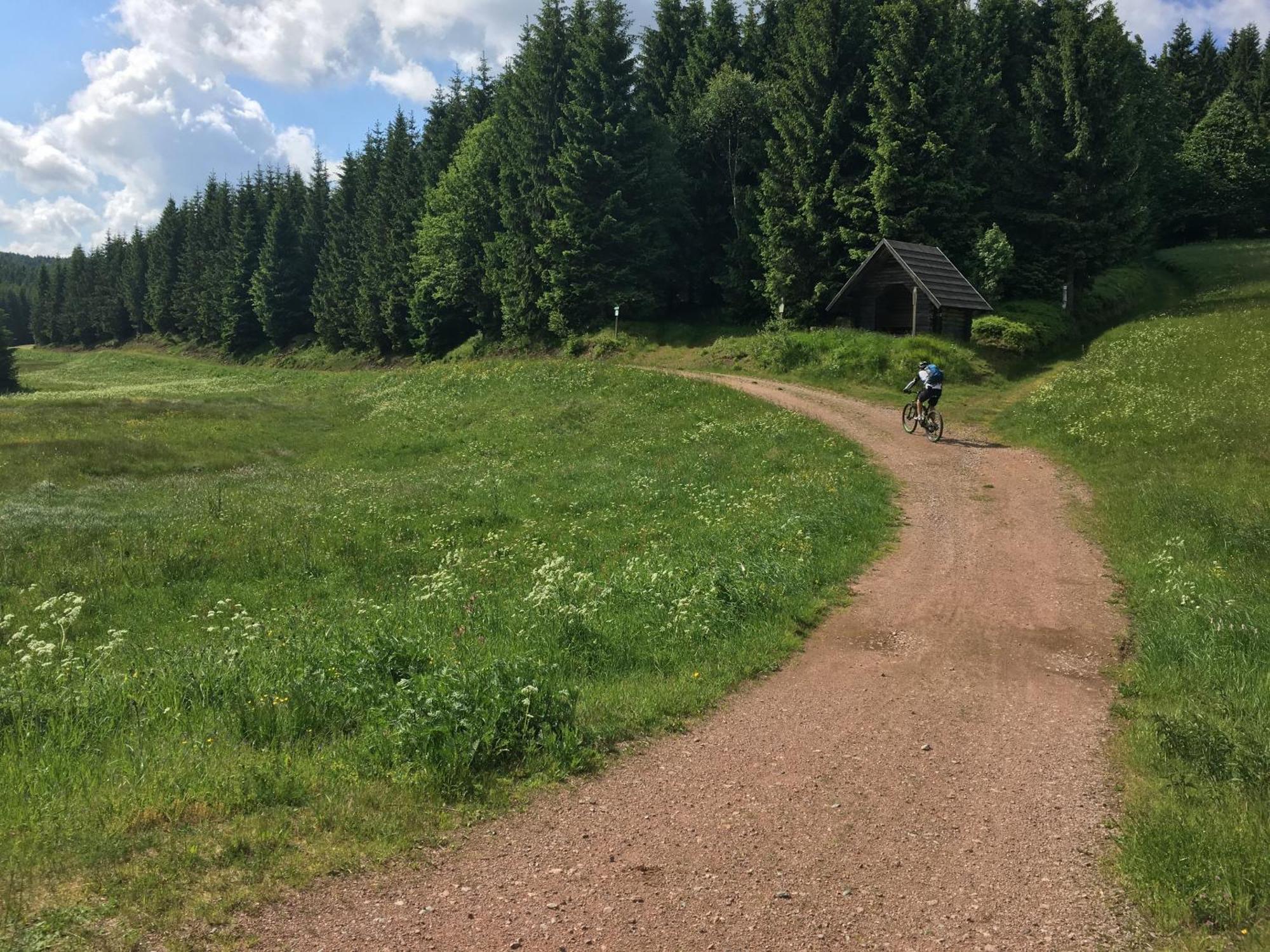 Ferienhaus Bikehuette Rehnhaeusl Geising Rum bild