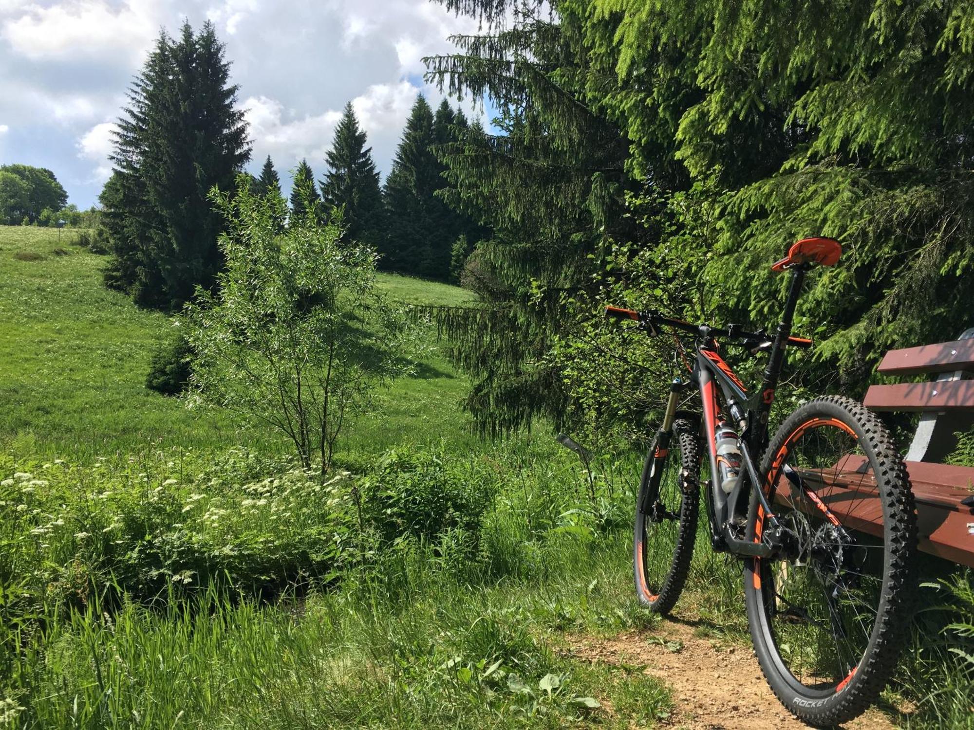 Ferienhaus Bikehuette Rehnhaeusl Geising Exteriör bild